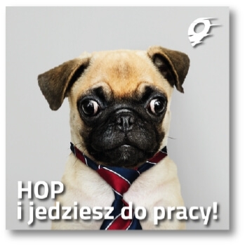 Grafika do posta na profil marki AutoHOP, na której jest pies mops w kolorowym krawacie.